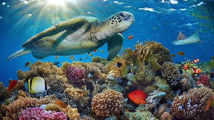 抖音风 - 深蓝星球获奖纪录片海报